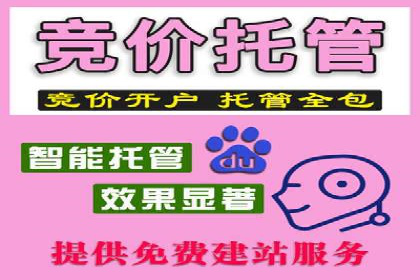 探索SEO在移动端的优化策略——成功案例分享